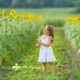 Having Photos done in the Sunflower Fields