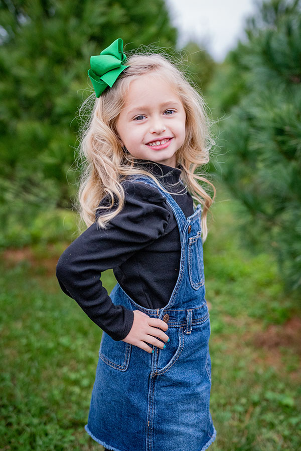 Northern christmas tree farm wolverine mi