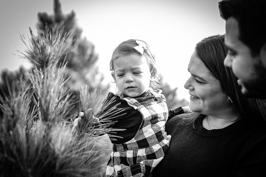 hartlandfarmmarkhamvirginiachristmastreefarmksbjphotography90